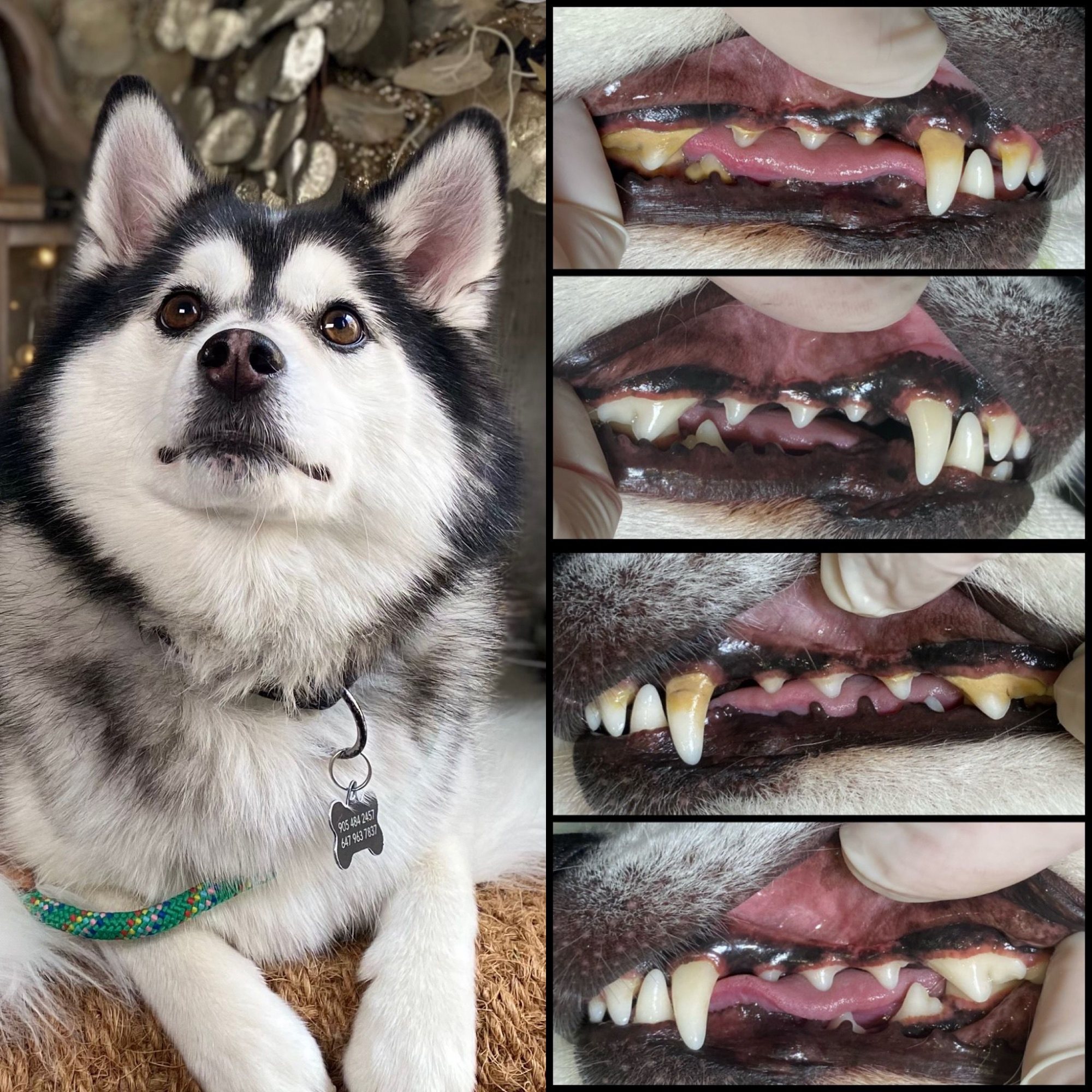 custom image